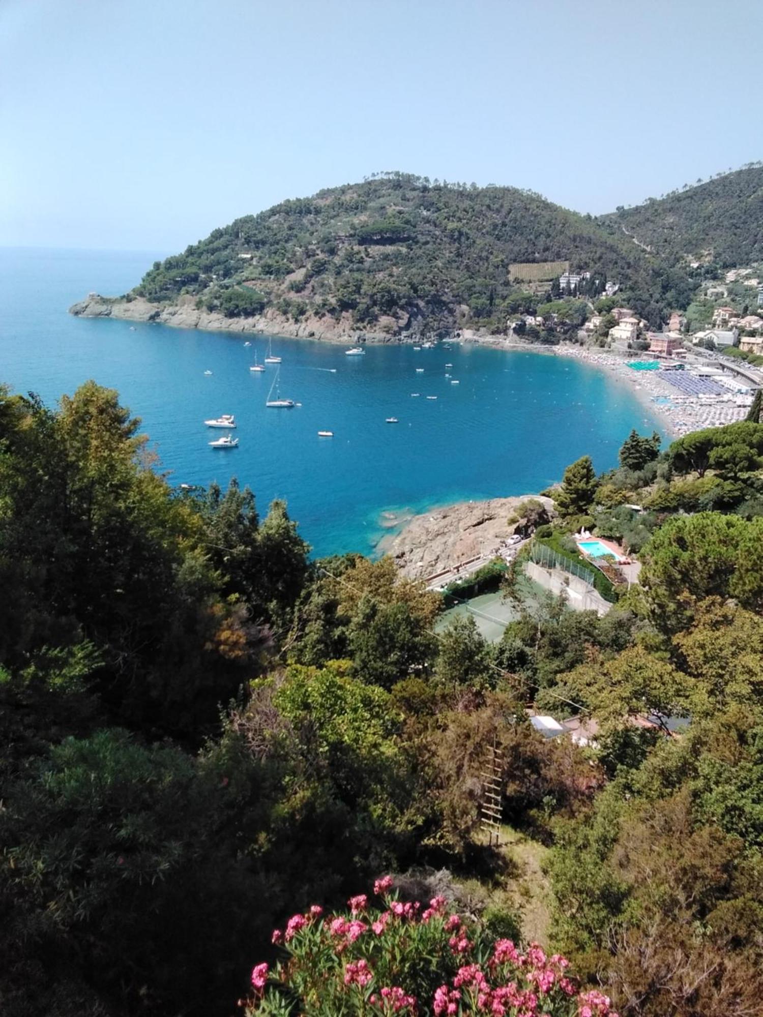 Villa Mimosa Splendida Vista Mare Бонассола Экстерьер фото