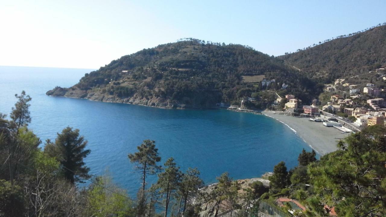 Villa Mimosa Splendida Vista Mare Бонассола Экстерьер фото